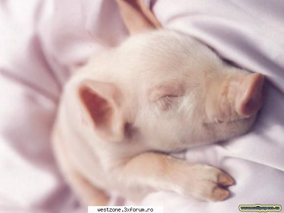de casa :razz:  :zzz:  :nono: peisaje naturale