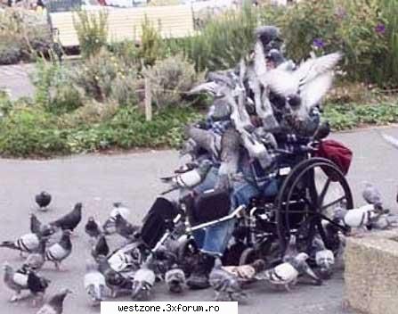 :rotfl:  :rotfl:  :rotfl:  :rotfl:  :rotfl: poze funny :)):))