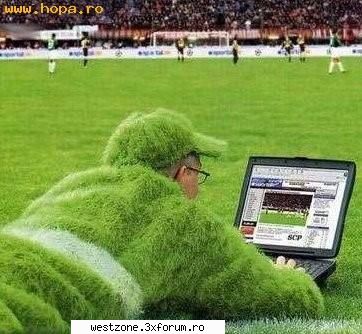 tusha si gazonu  :rotfl: wallpepere